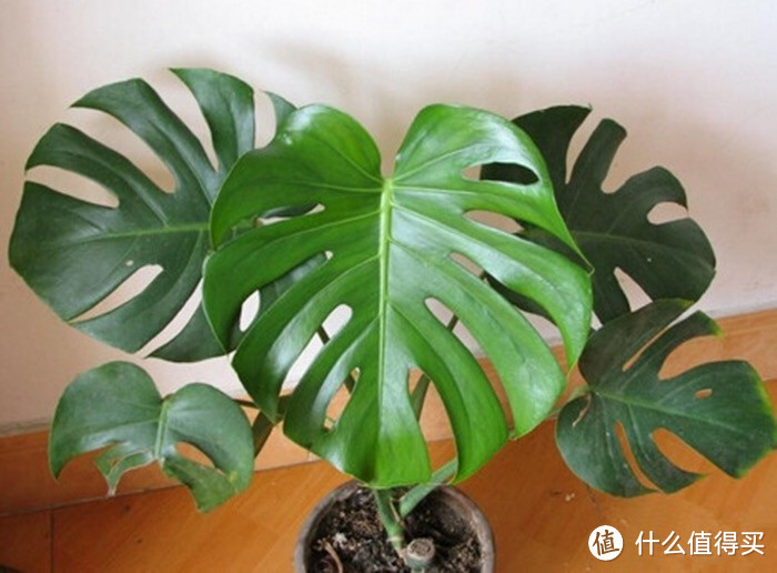 不换掉家具，轻松让你的家北欧起来！