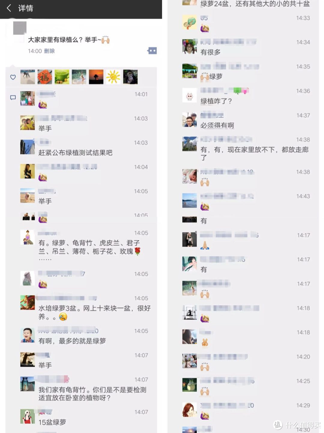 （还是有很多人选择绿植吸附甲醛）