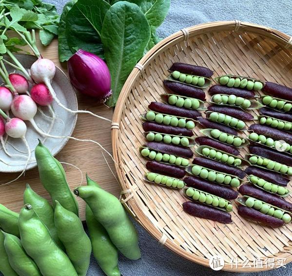 日本富人原来在庭院这样种菜？太美了